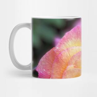 Multicolored Rose in Spring Rain Mug